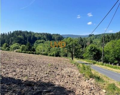 Terrain constructible - 1 453 m²