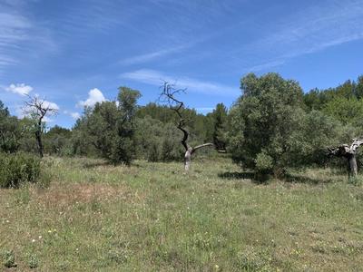 Terrain constructible - 550 m²