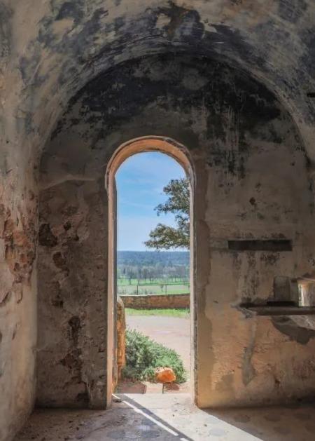 Manoir - 1 575 m² - 20 pièces