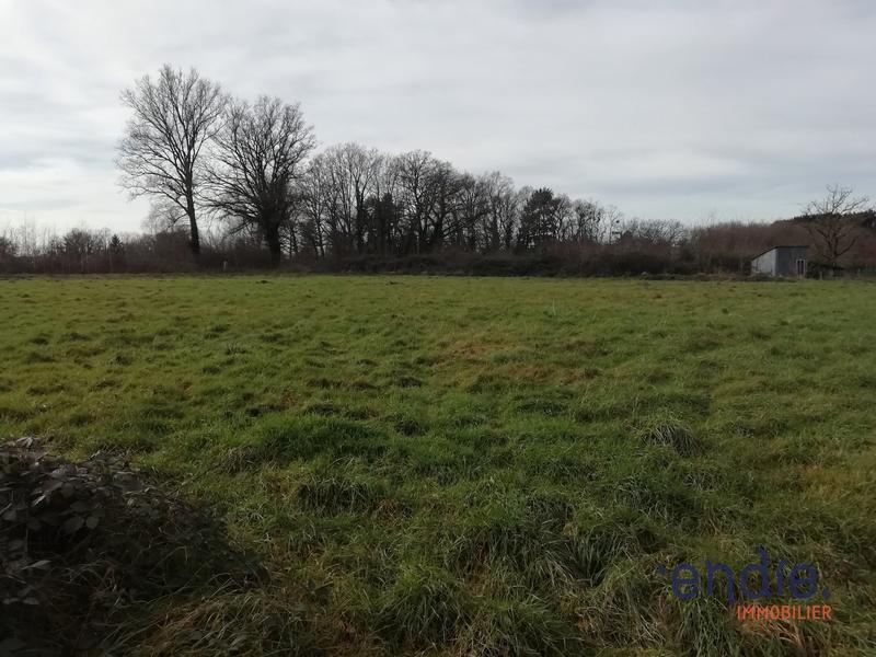 Terrain constructible - 7 000 m²