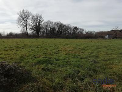 Terrain constructible - 7 000 m²