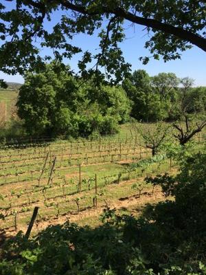 Terrain agricole - 27 000 m²