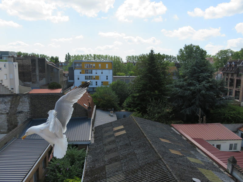 Duplex - 58 m² - 3 pièces