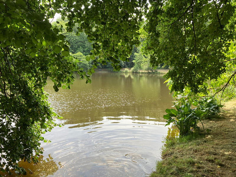 Terrain - 27 500 m²