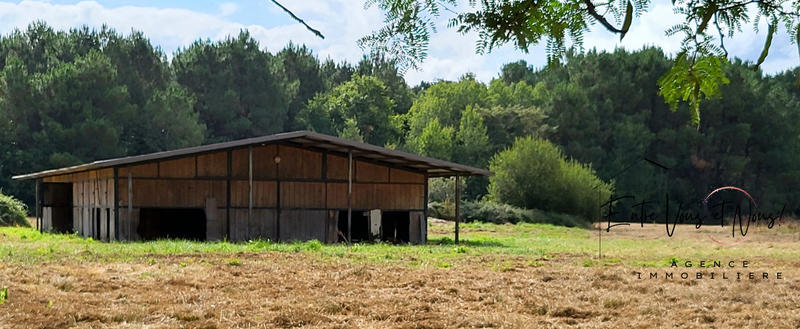 Maison - 134 m² - 5 pièces