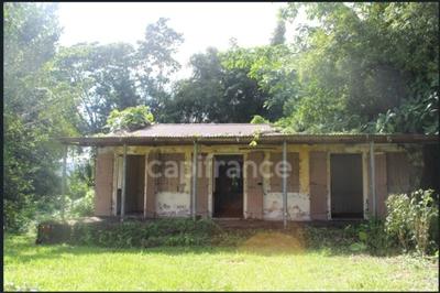 Terrain constructible - 6 130 m²