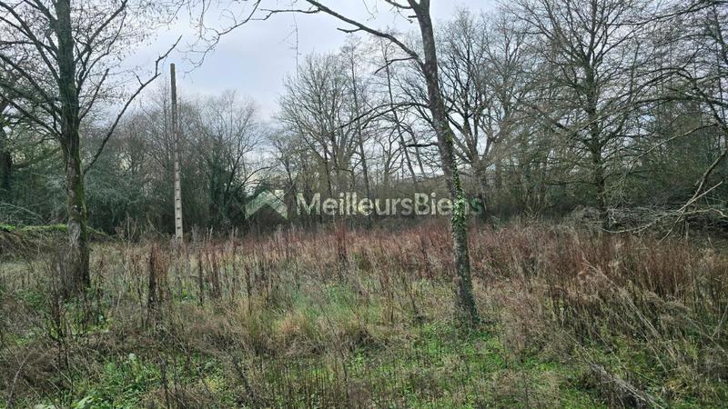 Maison de campagne - 340 m² - 3 pièces