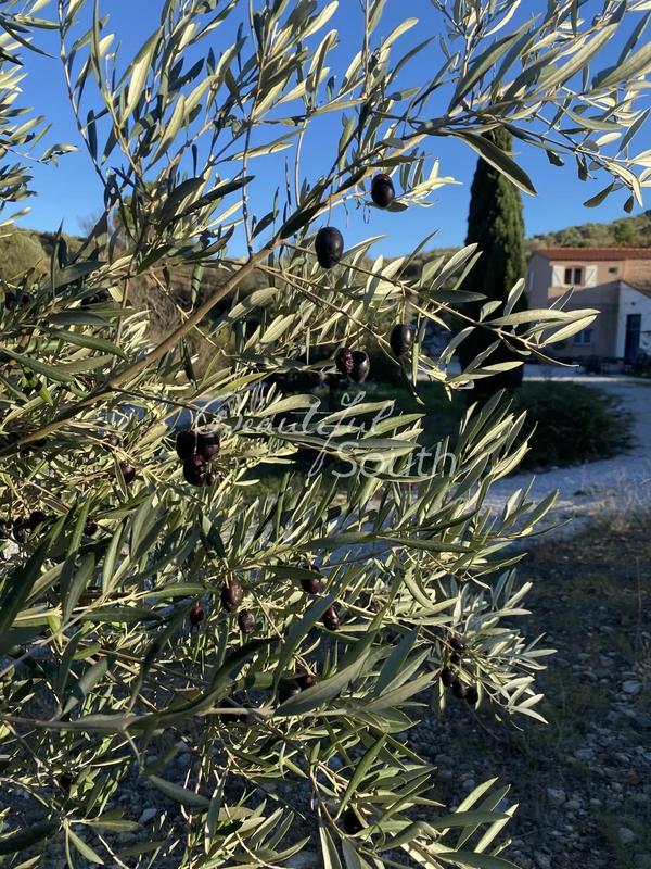 Gîte - 647 m² - 16 pièces