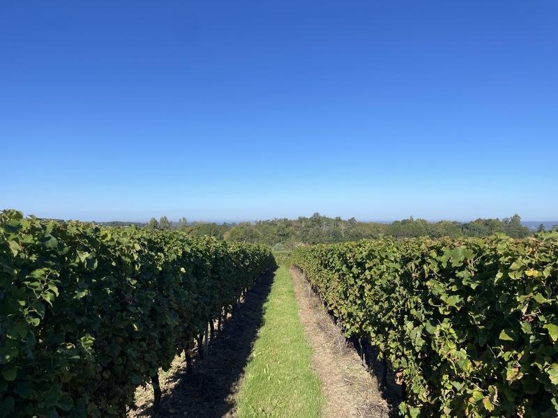 Maison traditionnelle - 200 m² - 8 pièces