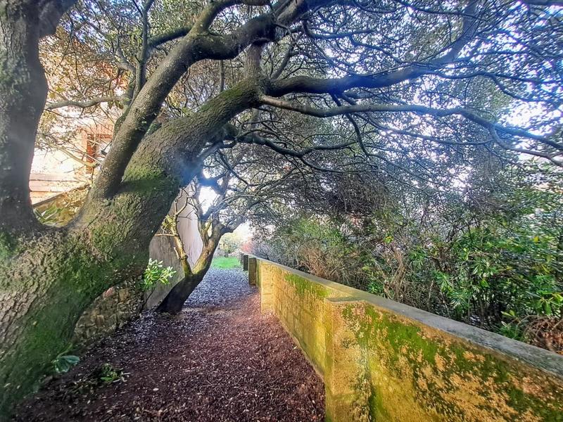 Appartement - 50 m² - 3 pièces