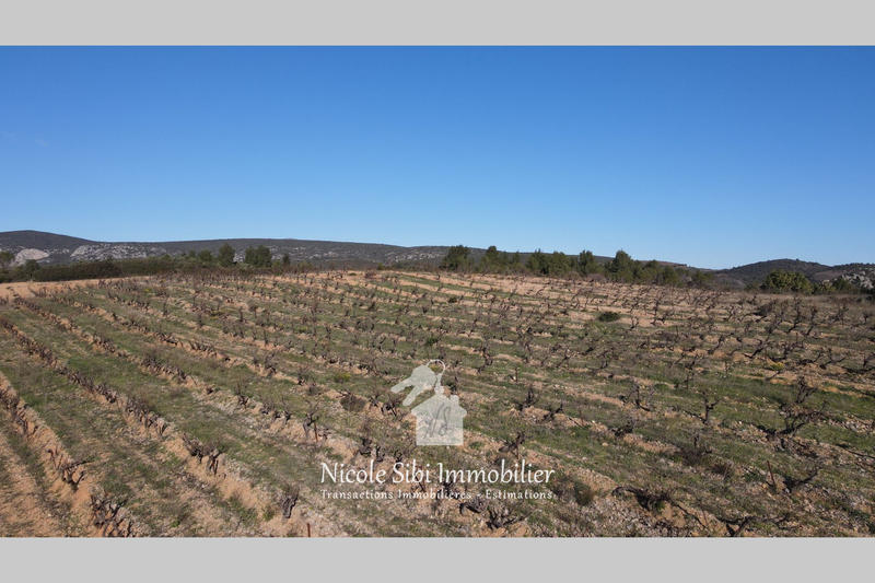 Terrain agricole - 41 295 m²