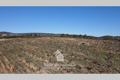 Terrain agricole - 41 295 m²