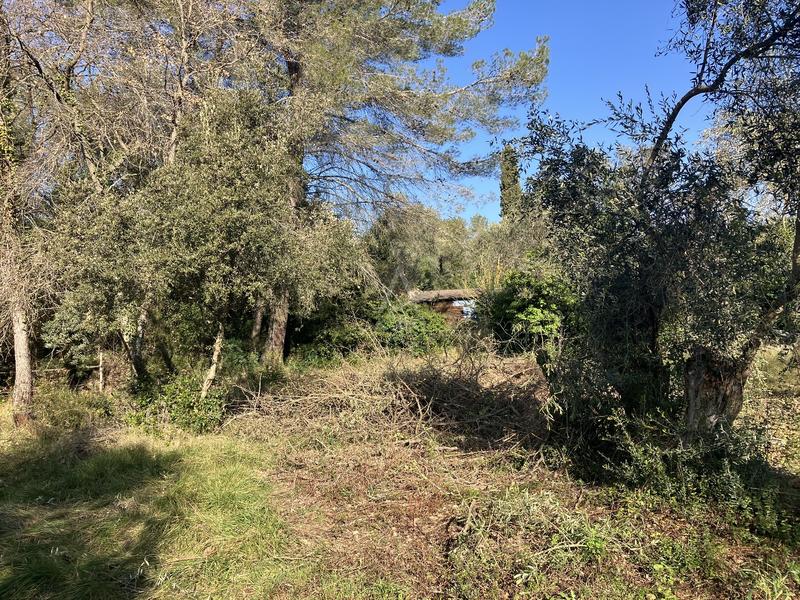 Terrain constructible - 11 000 m²