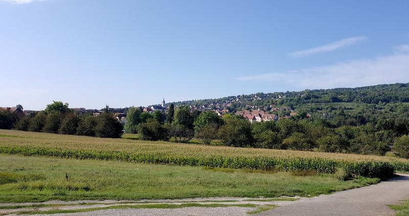 Chantier nature participatif