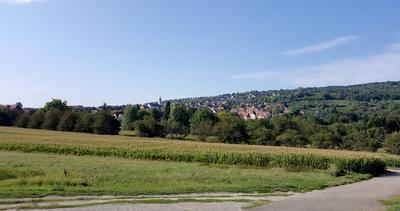 Chantier nature participatif
