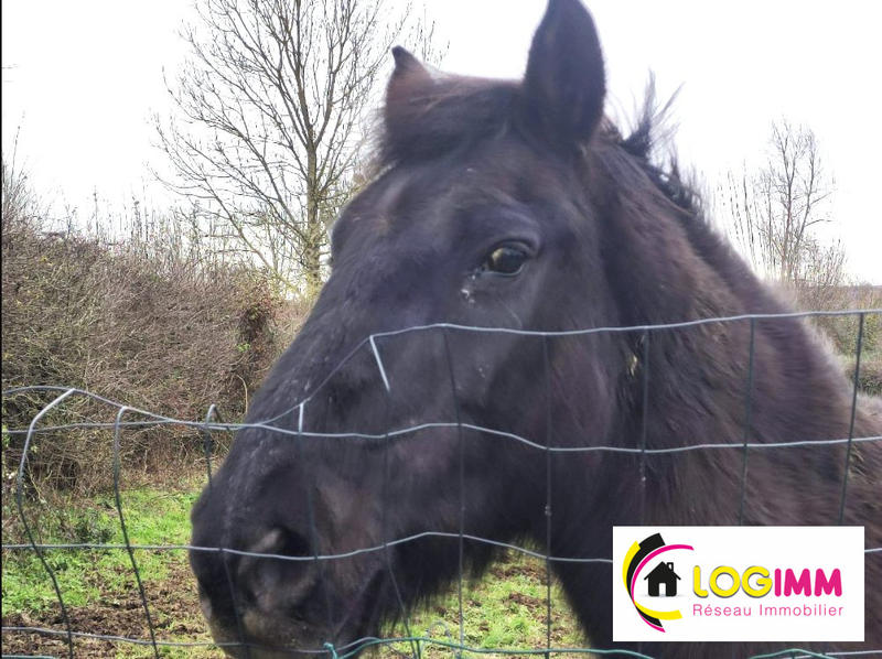 Maison - 110 m² - 6 pièces