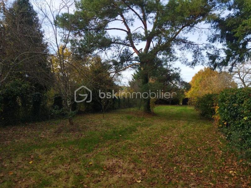 Maison en pierre - 225 m² - 6 pièces