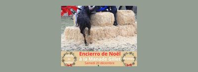 Encierro de Noël