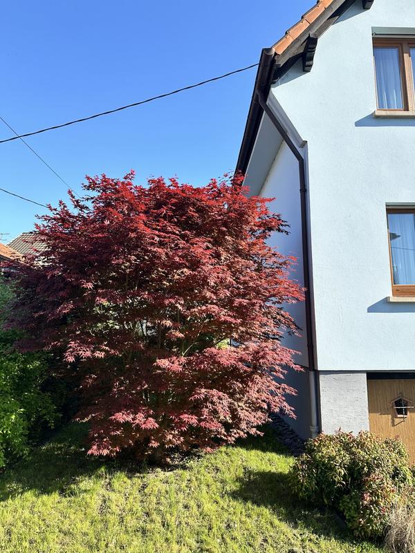 Maison - 211 m² - 8 pièces