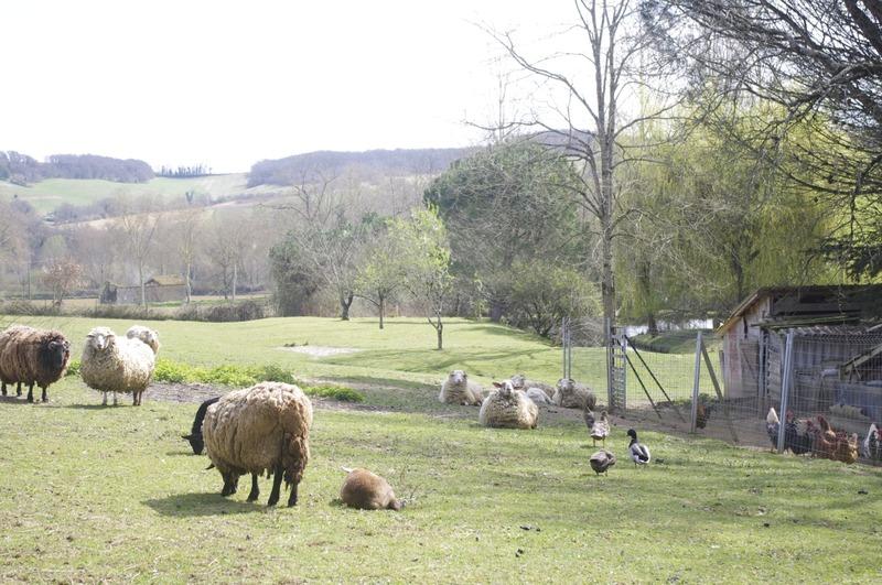 Maison - 245 m² - 8 pièces