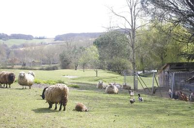 Maison - 245 m² - 8 pièces