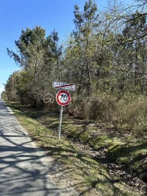 Terrain de loisirs - 31 450 m²