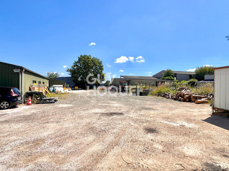 Local d'activité / Entrepôt - 620 m² - 5 pièces