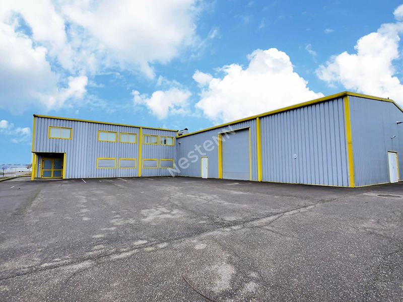 Local d'activité / Entrepôt - 1 250 m²