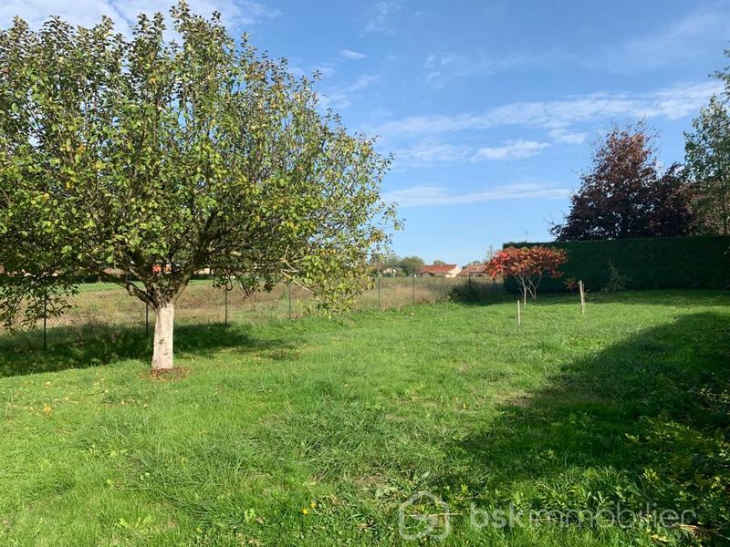 Maison d'architecte - 110 m² - 5 pièces