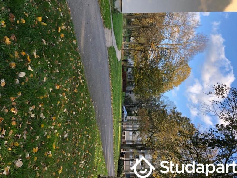 Chambre - 11 m² - 1 pièce