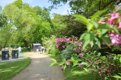 Jardins de Brocéliande