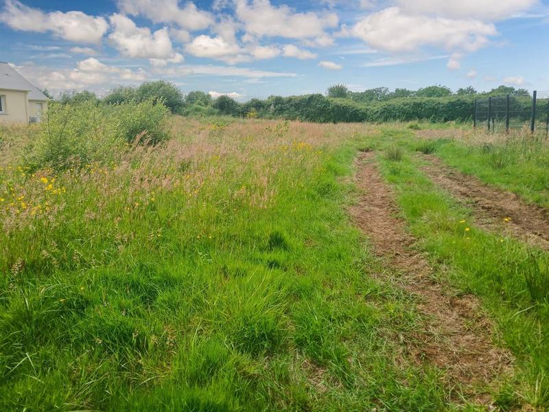 Terrain constructible - 1 005 m²