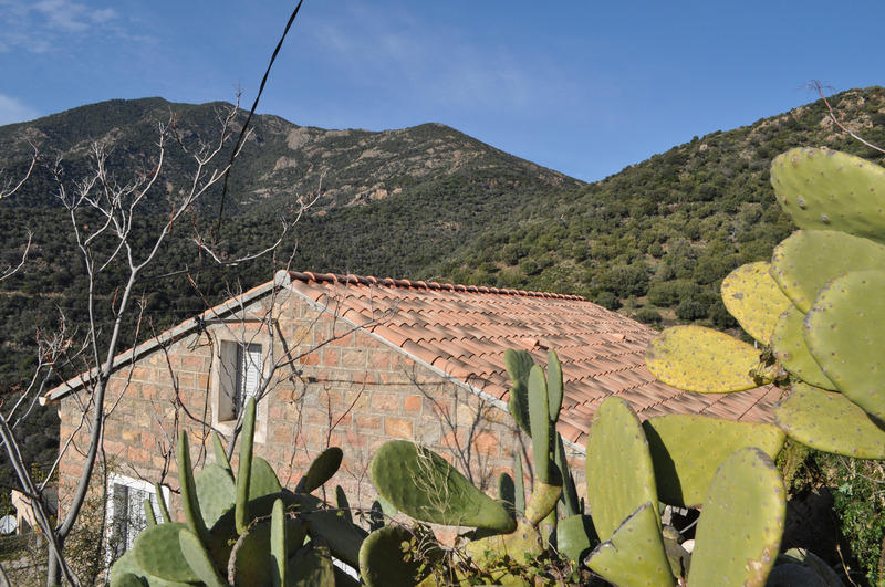 Maison - 130 m² - 8 pièces