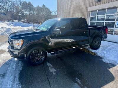 Ford F 150 Supercrew Xlt Sport 3,5 l Ecoboost