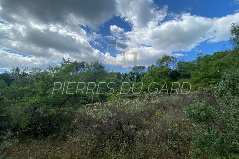 Terrain de loisirs - 8 898 m²