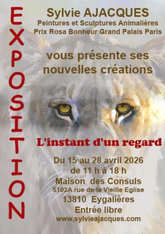 Exposition de Sylvie Ajacques : l'instant d'un regard