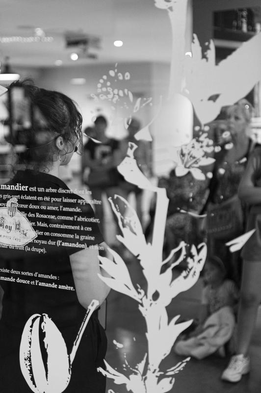 Visite guidée gourmande du Musée du Calisson suivie d'une dégustation