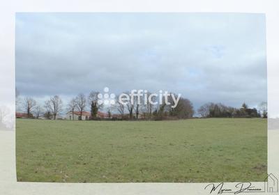Terrain - 10 000 m²