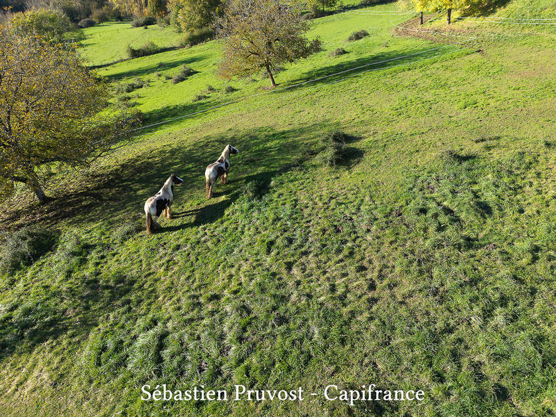 Propriété - 315 m² - 12 pièces