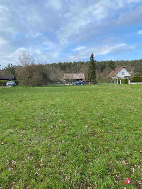 Terrain - 2 993 m²