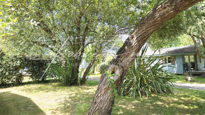 Châlet - 35 m² - 3 pièces