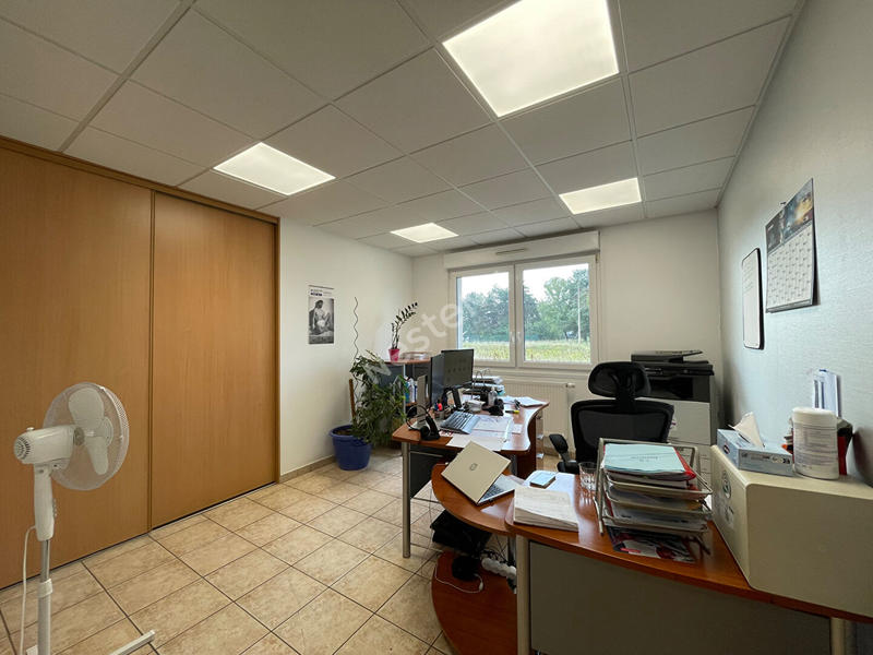 Local d'activité / Entrepôt - 803 m²
