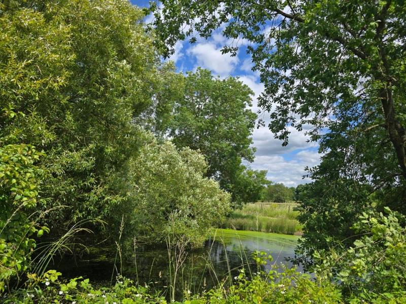 Maison - 220 m² - 5 pièces