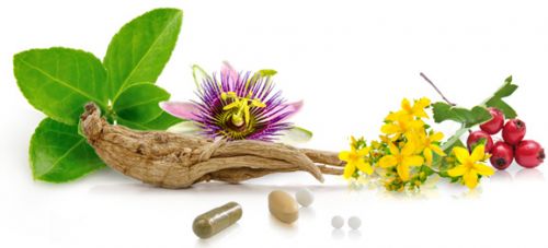 Camille Serafini Diététicienne - Nutrition et Bien-être