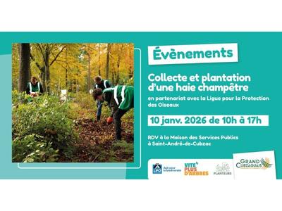 Sauvons ensemble des jeunes plants d'arbres