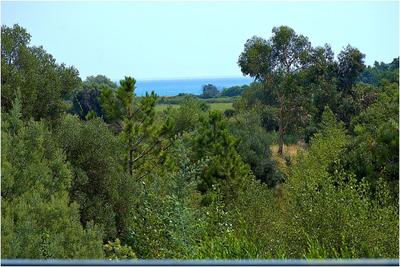 Maison d'architecte - 250 m² - 7 pièces