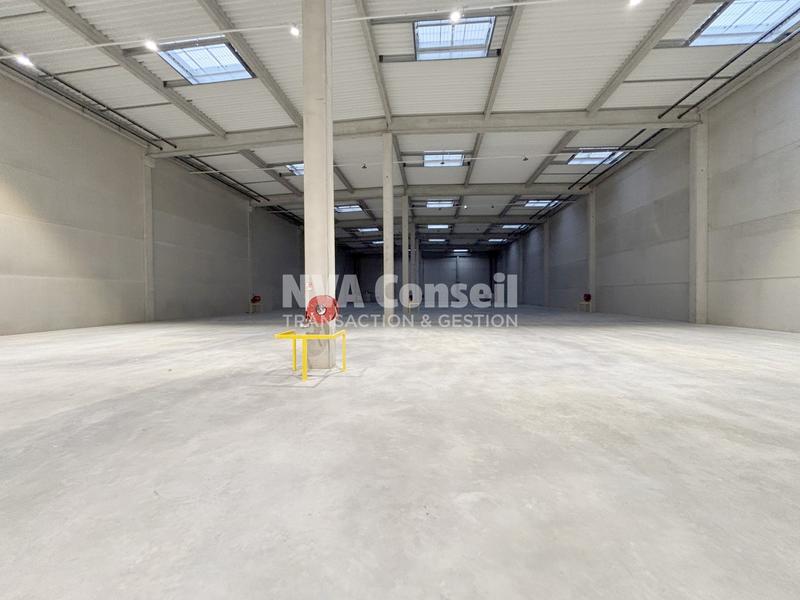 Entrepôt - 3 256 m²