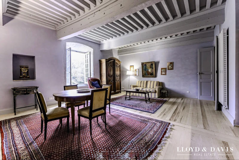 Château - 6 000 m² - 30 pièces