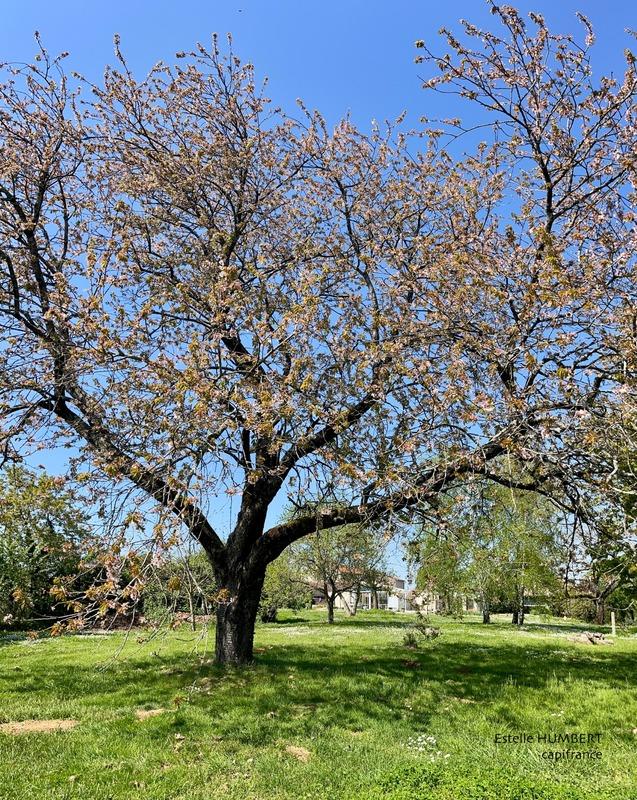 Maison - 205 m² - 10 pièces