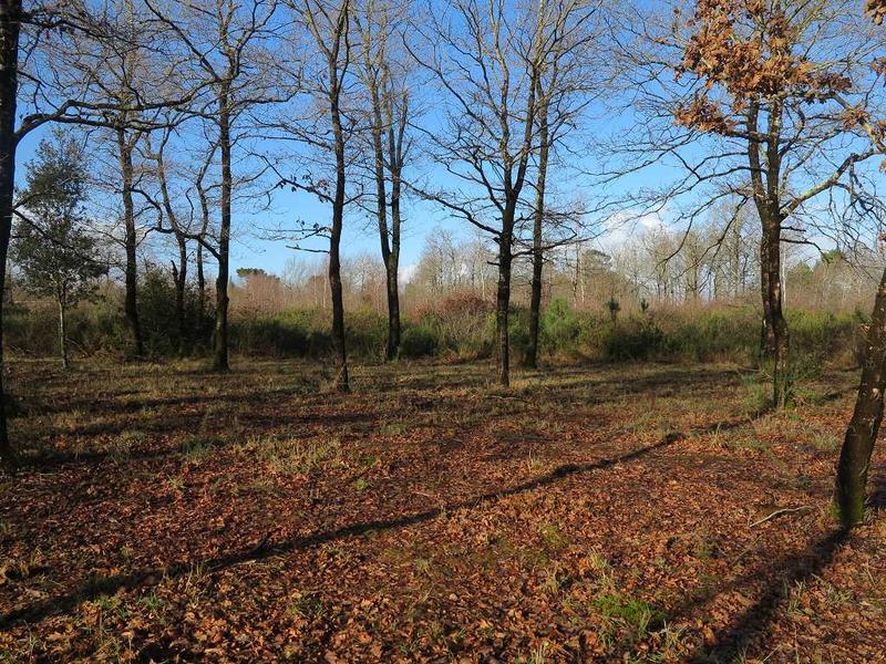 Terrain - 6 155 m²